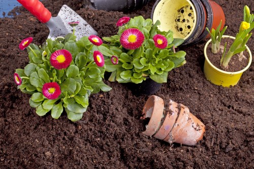 Illustration of website cookies and privacy settings for Landscaping Bromley