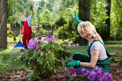 Professional landscaping in Bromley with a thoughtfully designed outdoor space