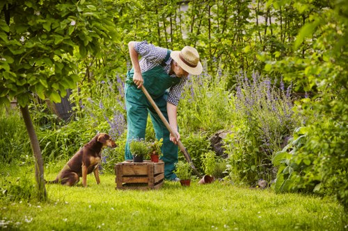 Local Bromley garden landscaping with patio and planting features