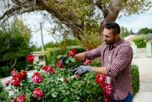 Worker safety and ethical landscaping practices at a Bromley site