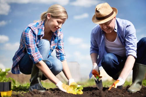 Free quotation for a Bromley garden project