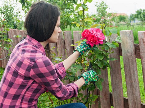Site inspection during a landscaping complaint review