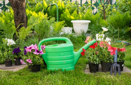 Local Bromley garden border planting and lawn preparation work