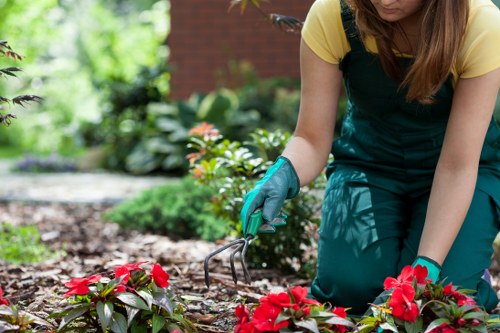 Hard and soft landscaping features creating a balanced Bromley garden
