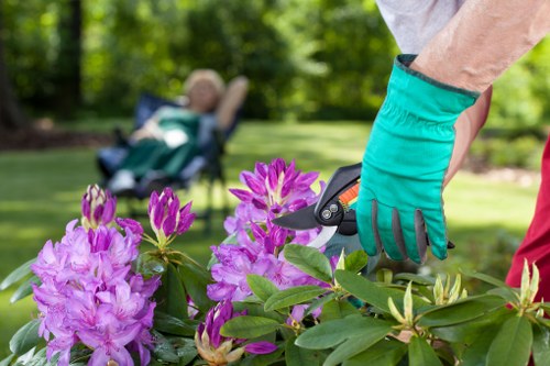 Soft landscaping details including plants, soil preparation, and lawn care