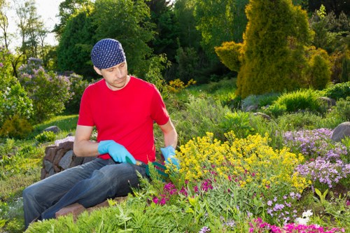 Safe and professional landscaping work in Bromley