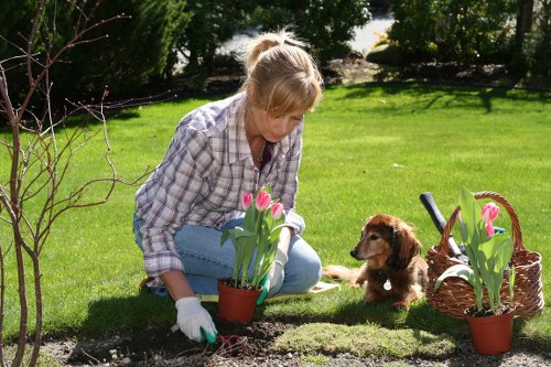 A tidy and practical garden makeover for a Bromley property