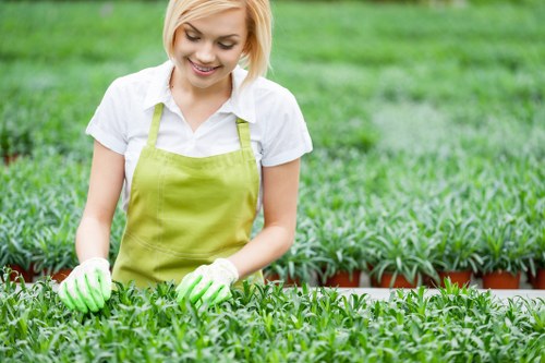 Garden paving and lawn installation in Bromley